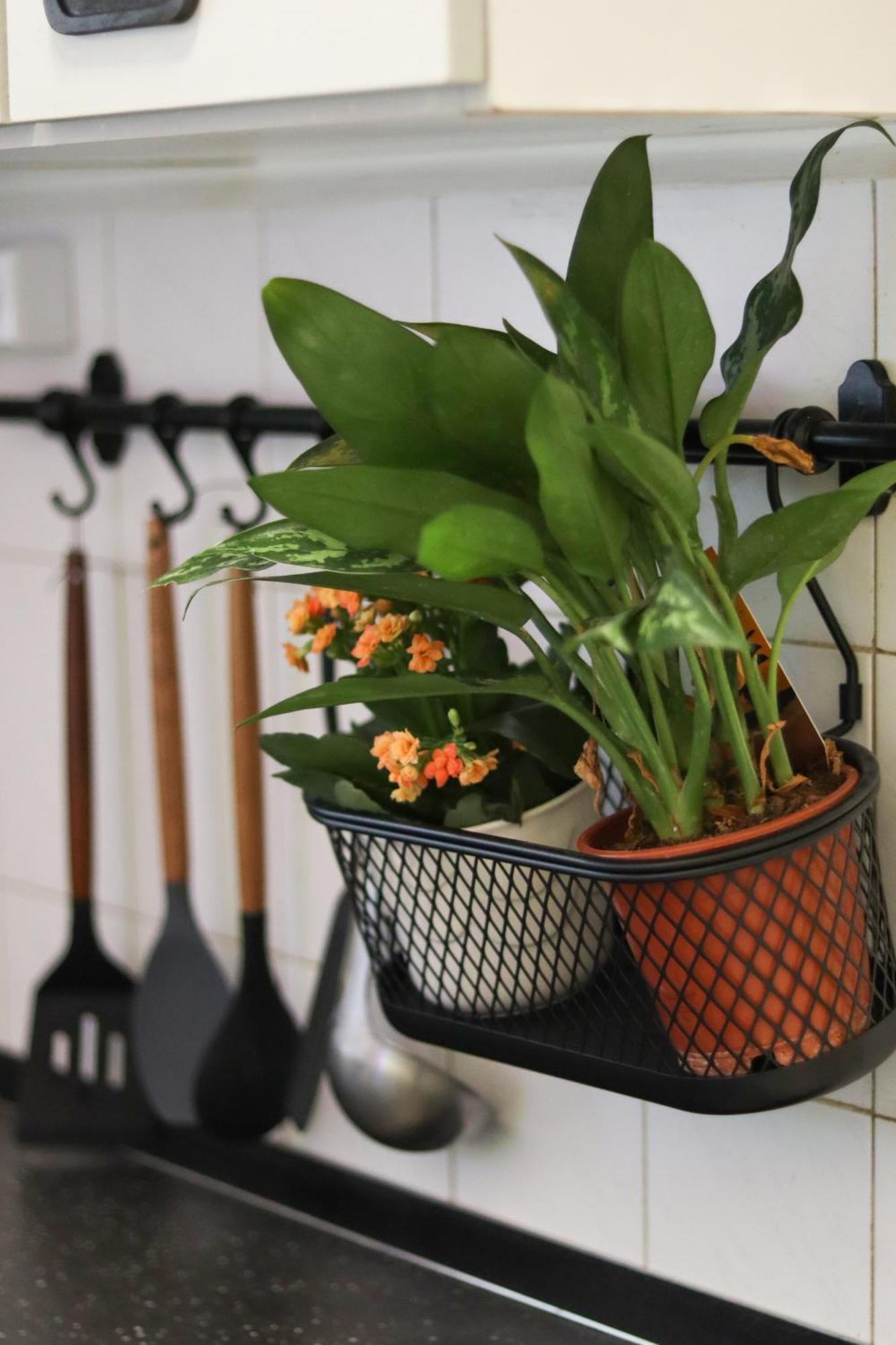 Apartmán If-Ju-Lak Kaposvár Exteriér fotografie